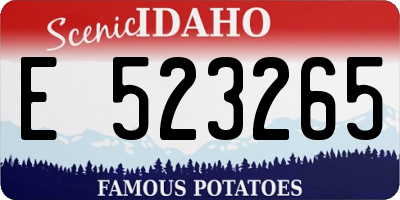 ID license plate E523265