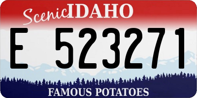 ID license plate E523271
