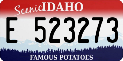 ID license plate E523273