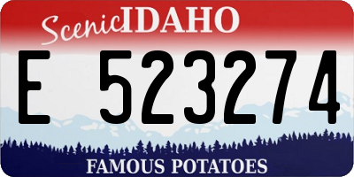 ID license plate E523274