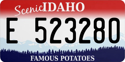 ID license plate E523280