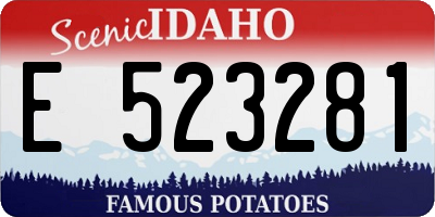 ID license plate E523281
