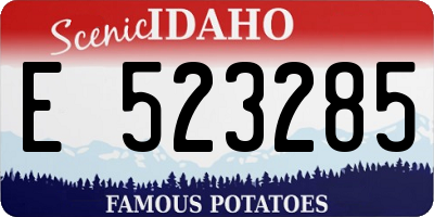 ID license plate E523285