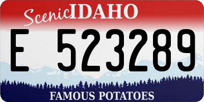 ID license plate E523289