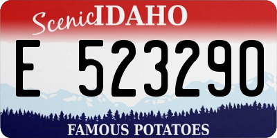 ID license plate E523290