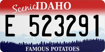 ID license plate E523291