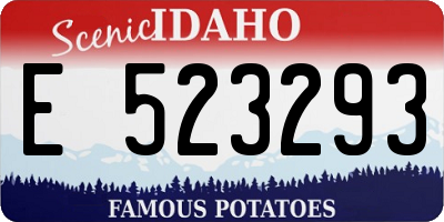 ID license plate E523293