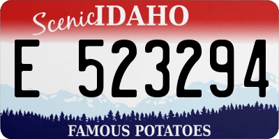 ID license plate E523294