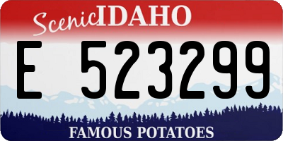 ID license plate E523299
