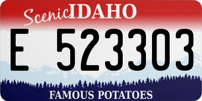 ID license plate E523303