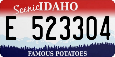 ID license plate E523304