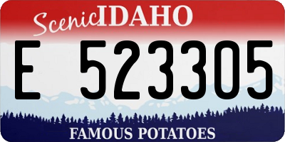 ID license plate E523305