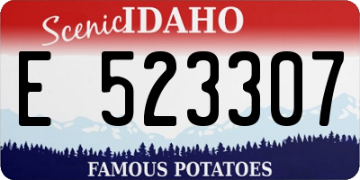 ID license plate E523307