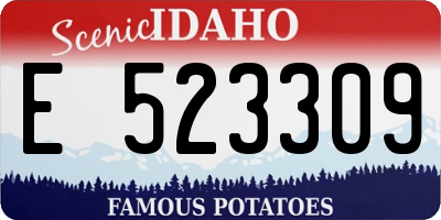 ID license plate E523309