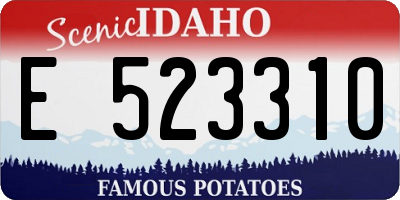 ID license plate E523310