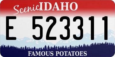 ID license plate E523311
