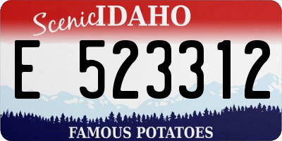 ID license plate E523312