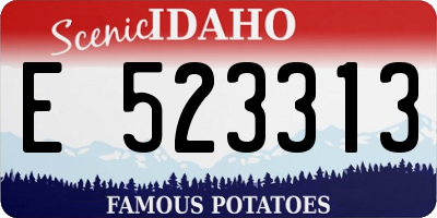 ID license plate E523313