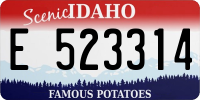 ID license plate E523314