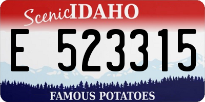 ID license plate E523315
