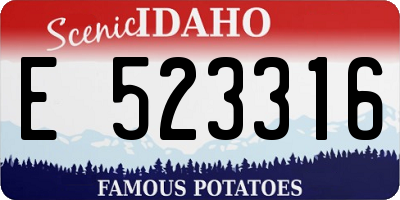 ID license plate E523316