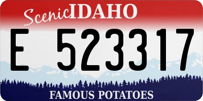 ID license plate E523317