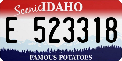 ID license plate E523318