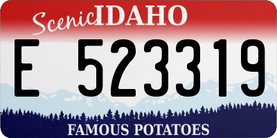 ID license plate E523319