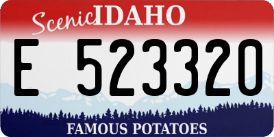 ID license plate E523320