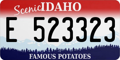 ID license plate E523323