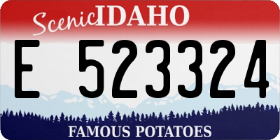 ID license plate E523324