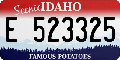 ID license plate E523325