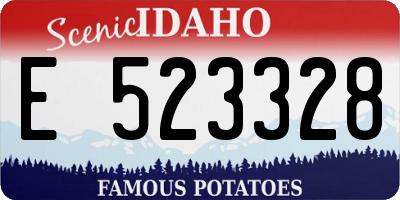ID license plate E523328