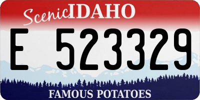 ID license plate E523329