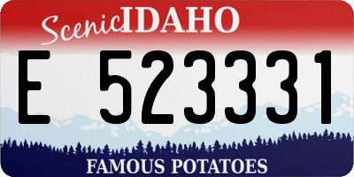 ID license plate E523331