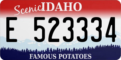 ID license plate E523334