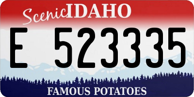 ID license plate E523335