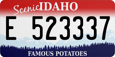 ID license plate E523337