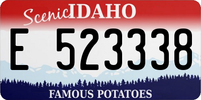 ID license plate E523338