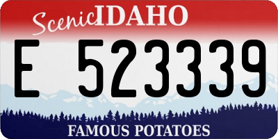 ID license plate E523339
