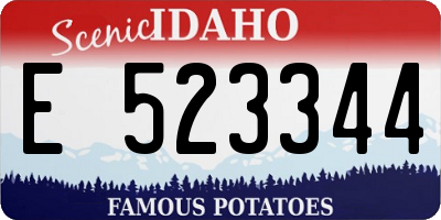 ID license plate E523344