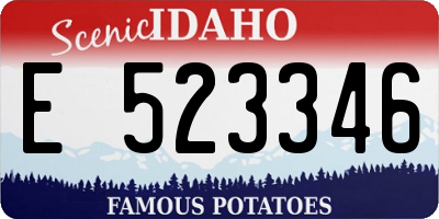 ID license plate E523346