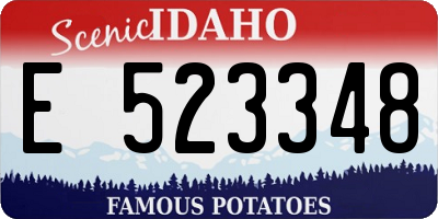 ID license plate E523348