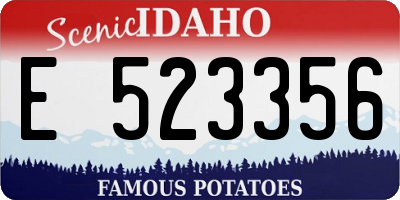 ID license plate E523356