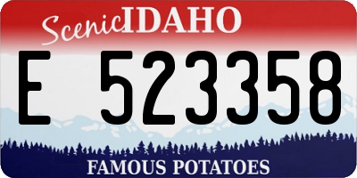 ID license plate E523358