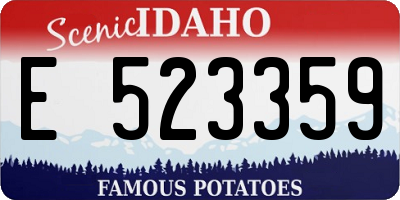 ID license plate E523359