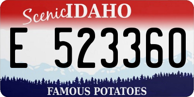 ID license plate E523360