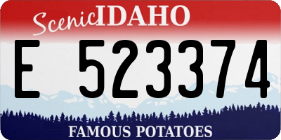 ID license plate E523374