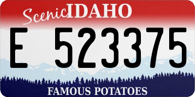 ID license plate E523375