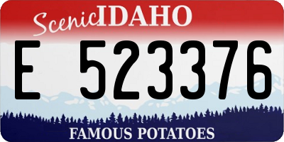 ID license plate E523376